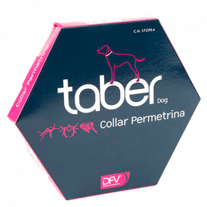 Collar Taber 65 cm