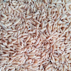Avena pelada
